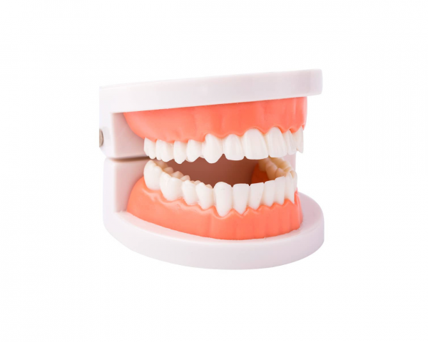 Molde gemas dentales para prácticas
